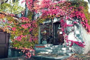 联赛四强争霸战队团结协作决胜关键battle