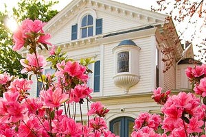 瑞士队伍选手尽心竭力斩获金牌