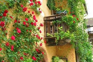 巴黎圣日尔曼球员表现出色率队获胜