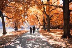 波黑队在欧洲杯预选赛中客场战胜拉脱维亚，积分榜升级